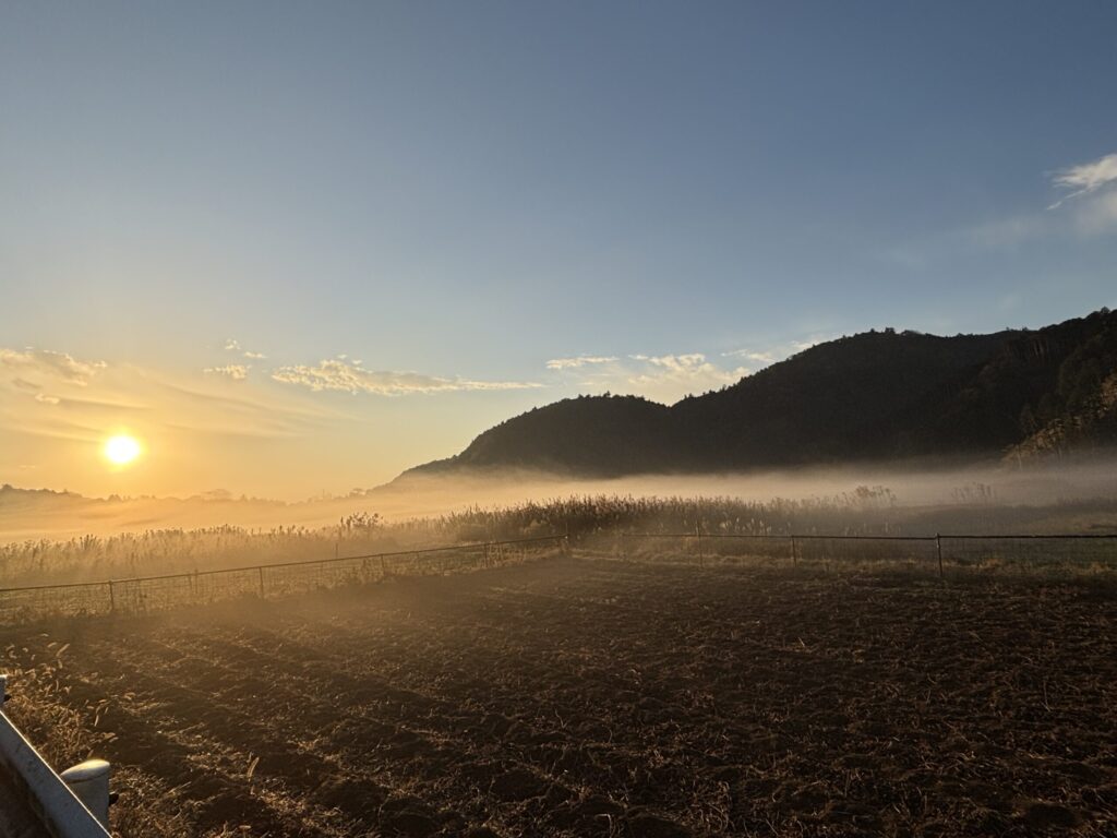 【体験談】やすらぎの里の断食プログラムで気づいた“心と体が整う習慣”|教員にもおすすめの記事画像