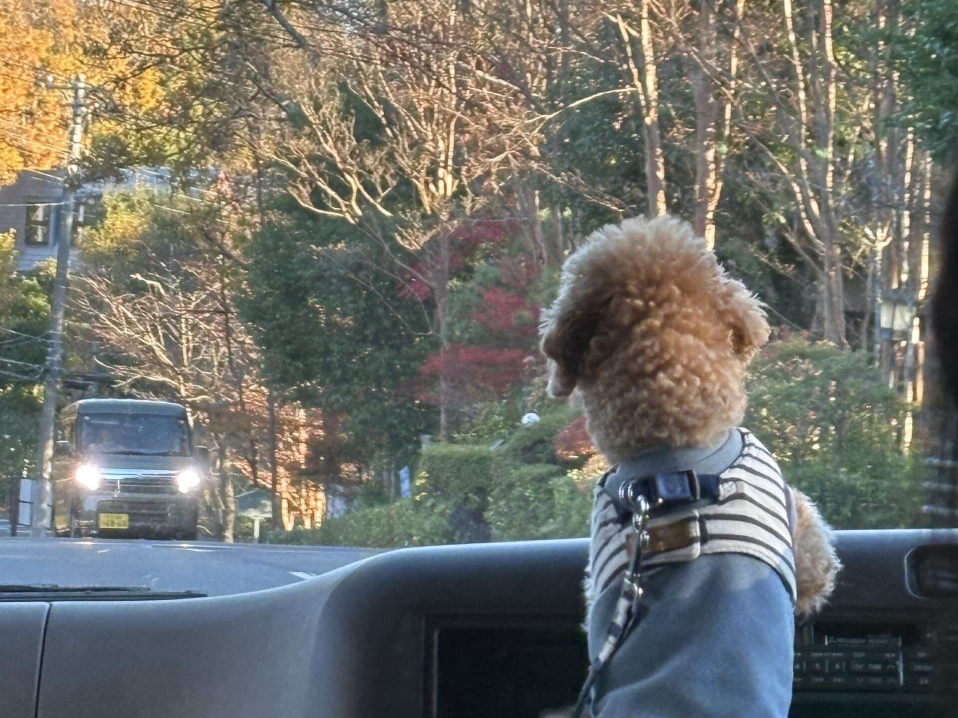 【体験談】やすらぎの里の断食プログラムで気づいた“心と体が整う習慣”|教員にもおすすめの記事画像