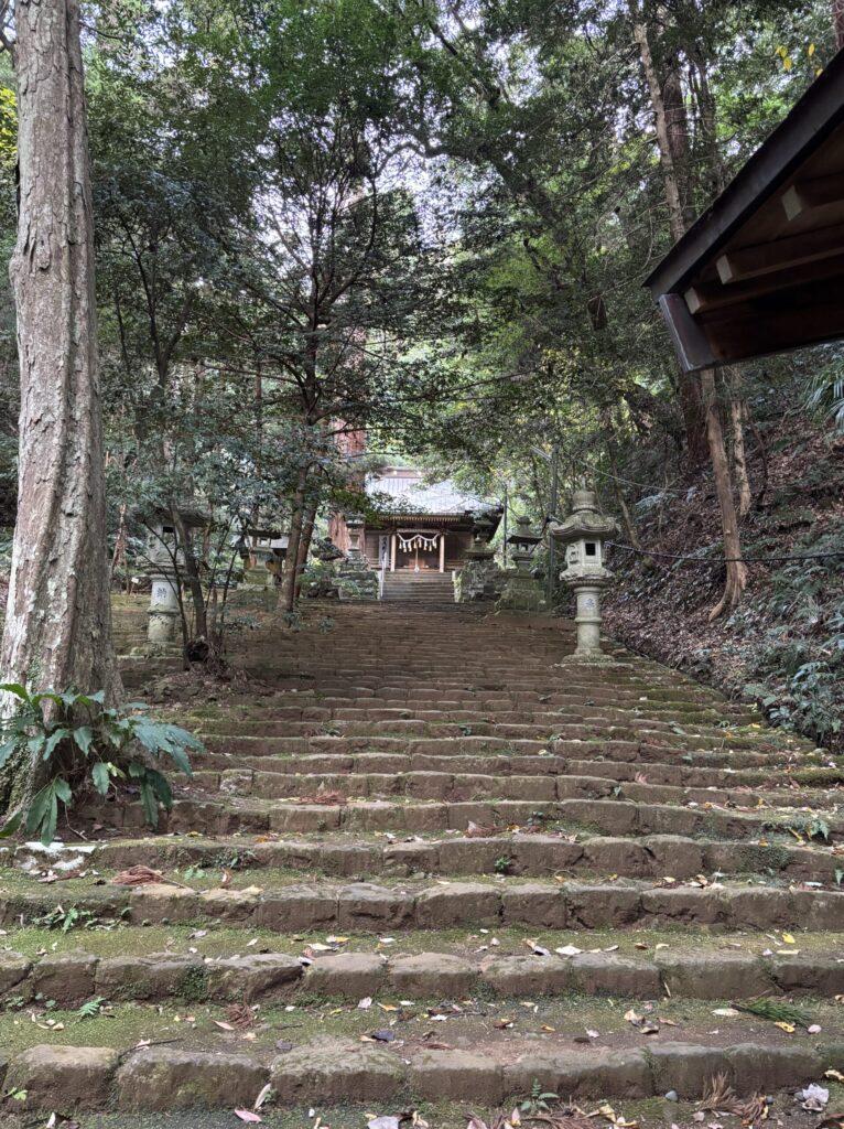 【体験談】やすらぎの里の断食プログラムで気づいた“心と体が整う習慣”|教員にもおすすめの記事画像