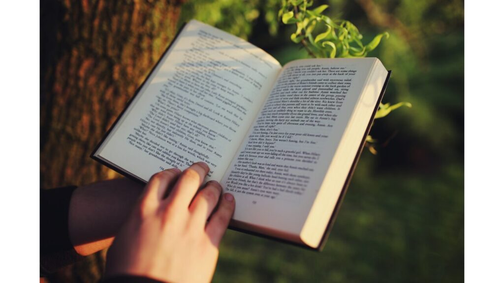 特別支援学級担任のリアルな声｜「癪だけど変わろうと思えた」一冊の感想の「「芯になる言葉」がある本」の画像