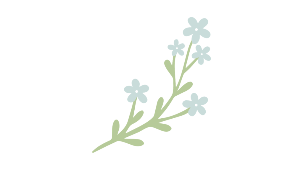 論理で納得する子どもへの関わり方|特別支援学級で使える5つの具体策の「関わりの軸は「感情」ではなく「理由」」の画像